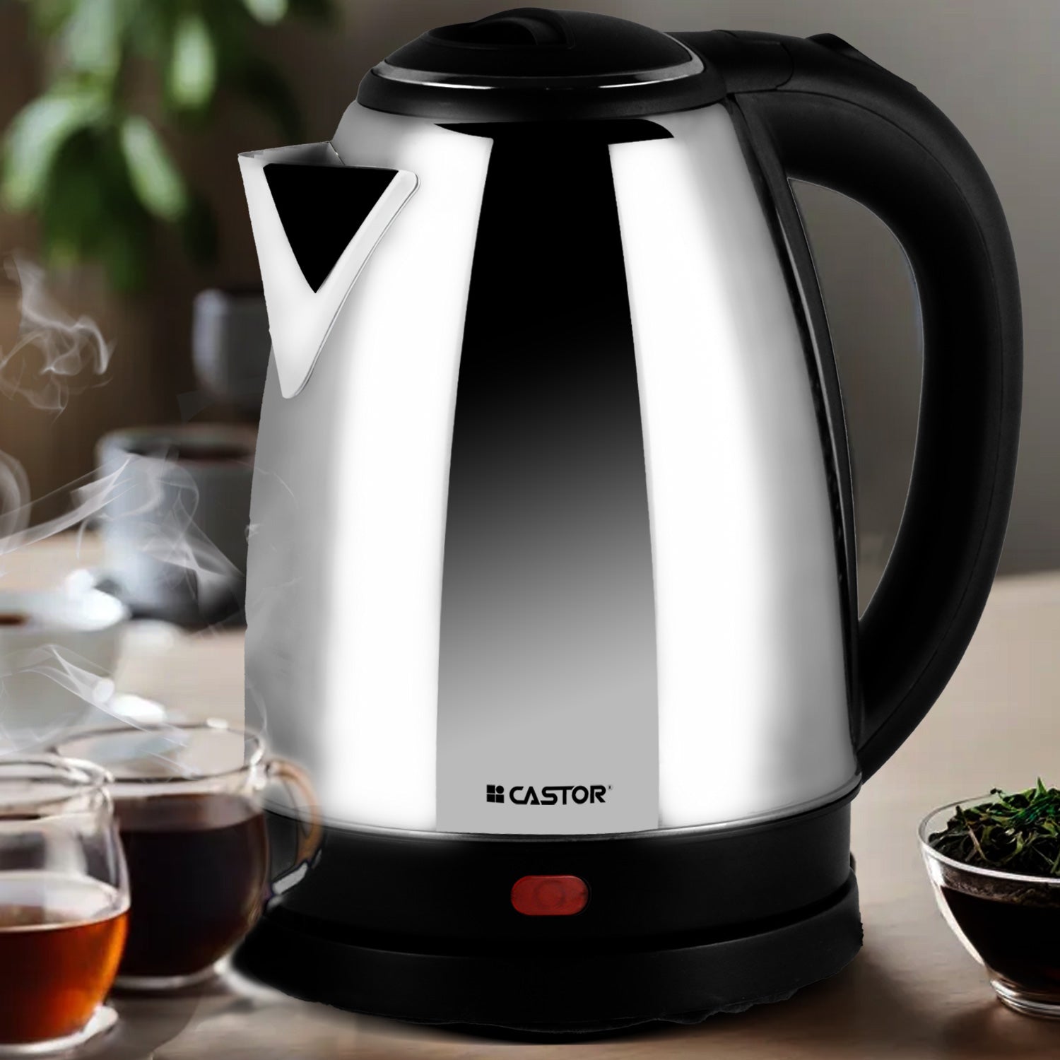 CASTOR CT EK18M Electric Kettle 1.8 Litre 1500W with Triple Safety Protection, High Quality Thermistor, 360° Rotating Base (Silver)