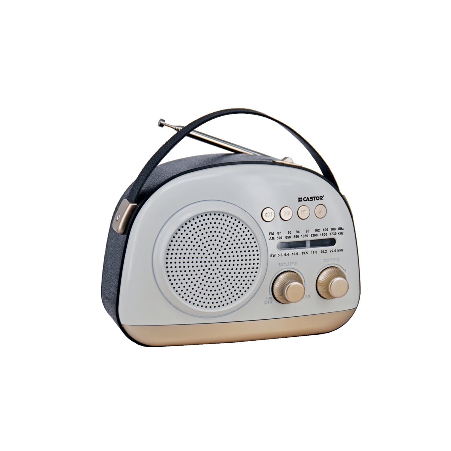 CASTOR CT FM 150BT 3 Band Radio, FM/AM/SW, Bluetooth, USB & Micro SD, MP3 Playback, Built-In Rechargeable Battery (Black)